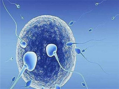 试管代妈公司代生生男孩
